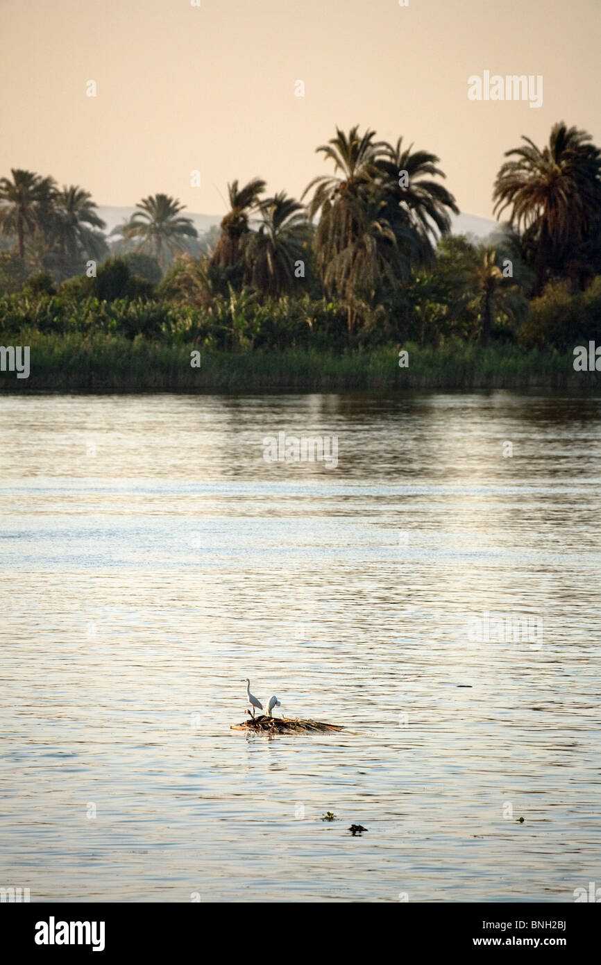 Nillandschaft; der Nil im Morgengrauen, das obere Ägypten Afrika Stockfoto