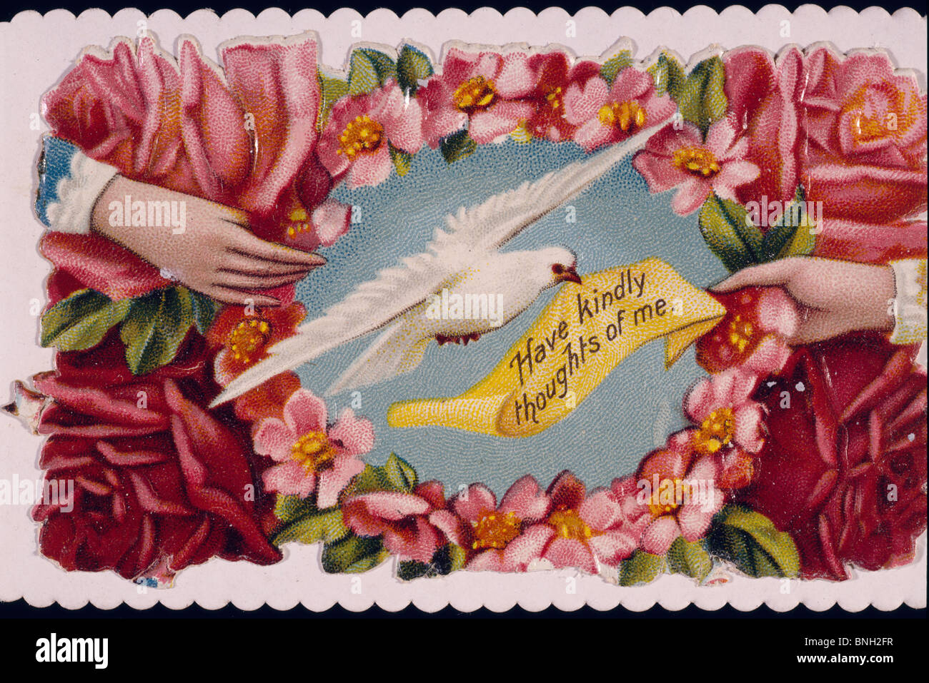 Taube - haben freundlicherweise Gedanken von mir vom Künstler unbekannt, Stockfoto