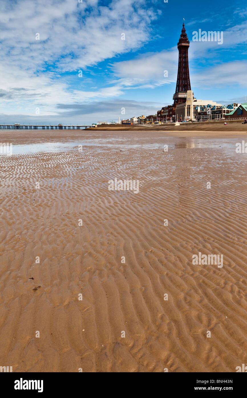 Blackpool Sands an einem schönen sonnigen Sommertag mit Blackpool tower im Hintergrund Stockfoto