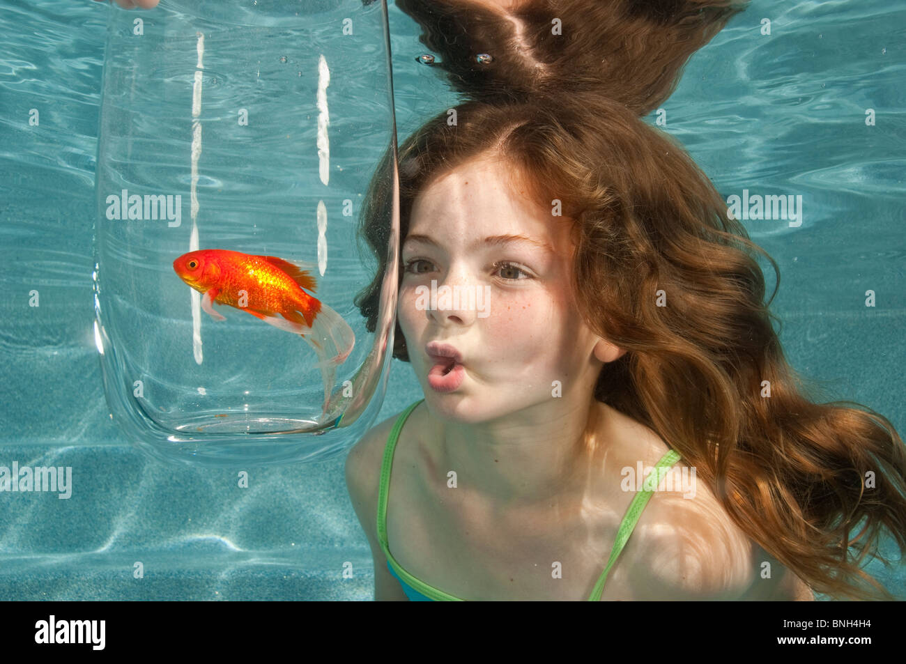 Schwimmen unter Wasser im Schwimmbad Blick auf Goldfische in Glasschale Stockfoto