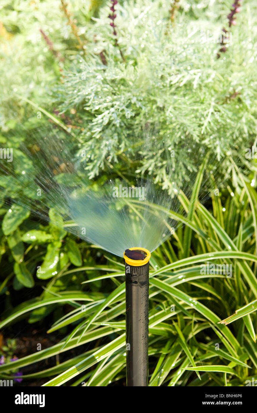 Bewässerungssystem Bewässerung von Pflanzen in einem Blumenbeet Stockfoto
