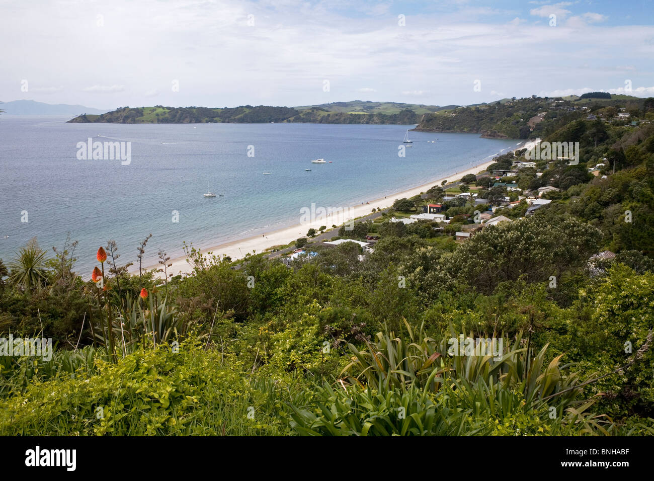 Onetangi Strand, Waiheke Island, Neuseeland. Stockfoto