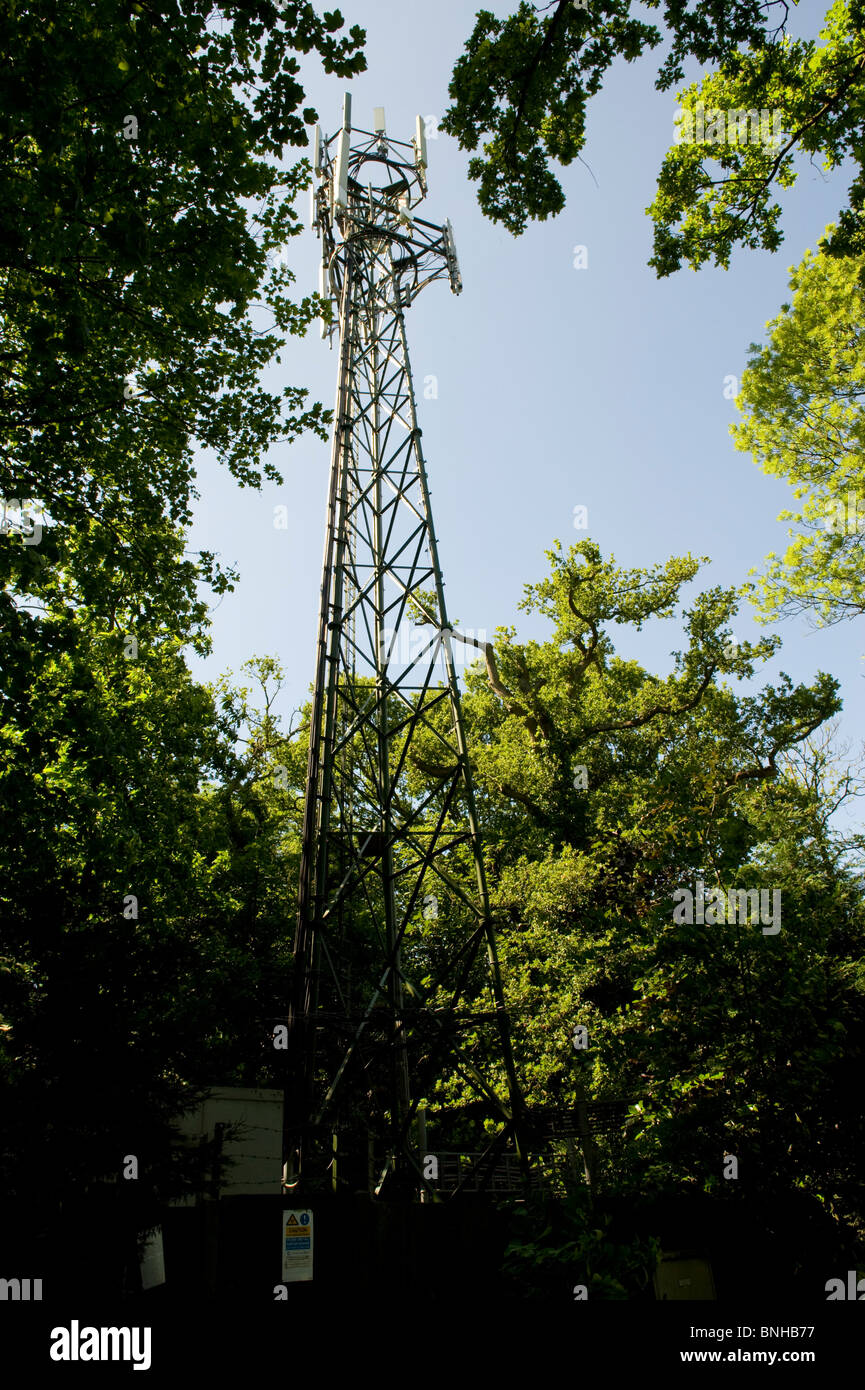 Handy-Mast, in Wäldern, Kent. Stockfoto