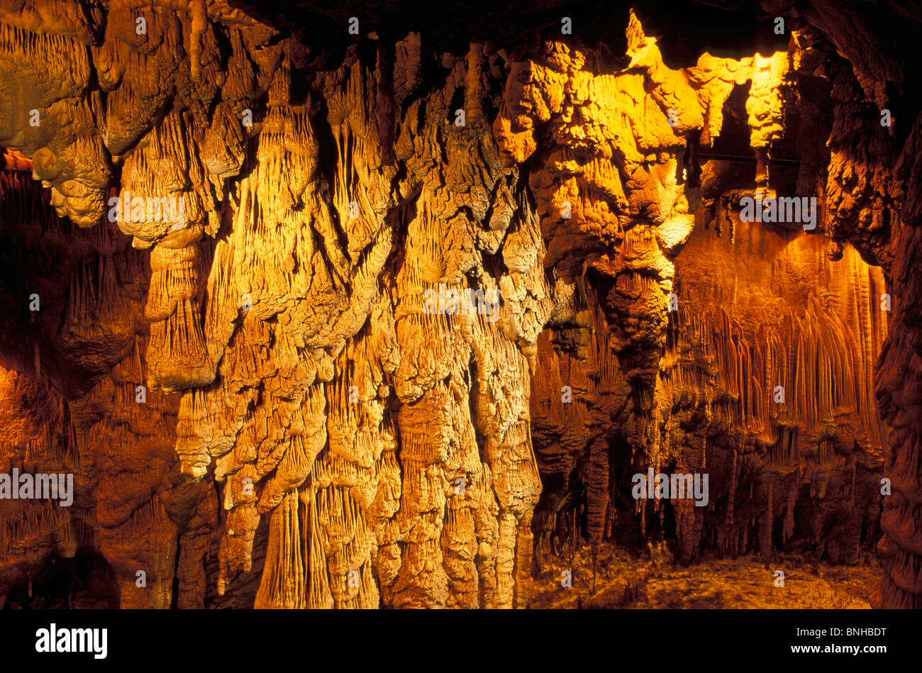 USA Little Rock Arkansas Blanchard Springs Kavernen Ozark Berge innen drinnen Natur beleuchtet Beleuchtung USA Stockfoto