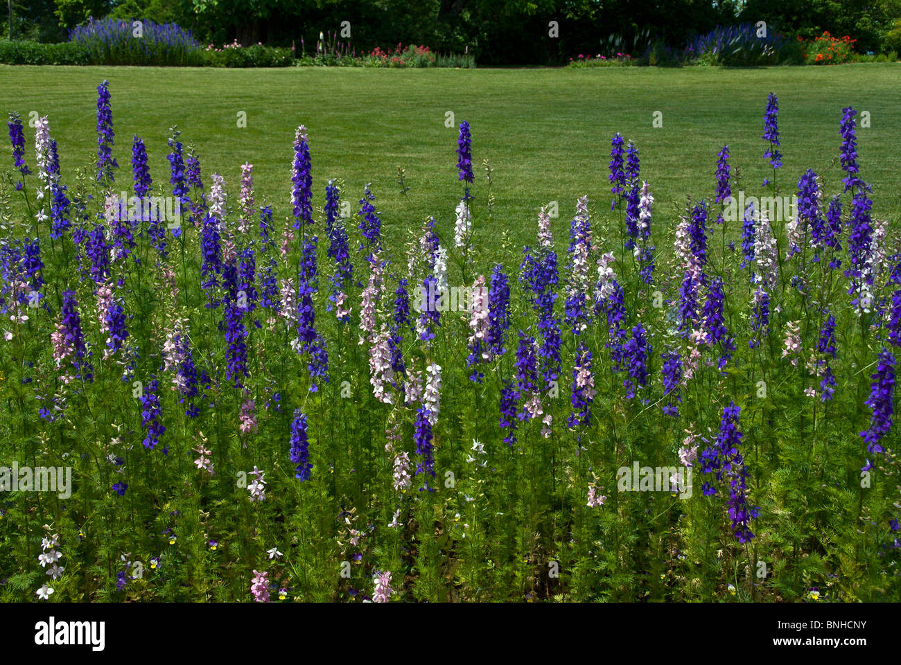 Jeffersons historischen Monticello Immobilien USA Nordamerika Virginia in Charlottesville Blumen Garten Park grünen Rasen blau Stockfoto