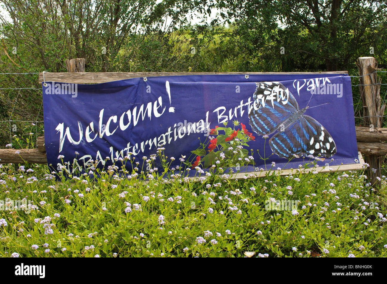 Texas, McAllen. NABA International Butterfly Center. Stockfoto