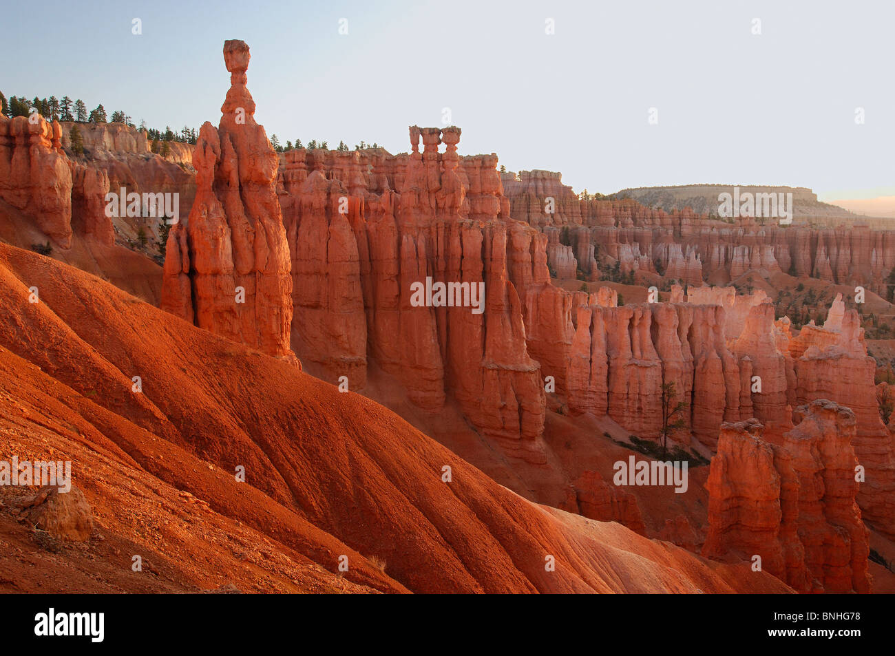 USA Utah Thor Hammer Sunset Point Bryce Canyon National Park Landschaft Landschaft Felsen Rock schroffen Erosion Pinnacles erodiert Stockfoto