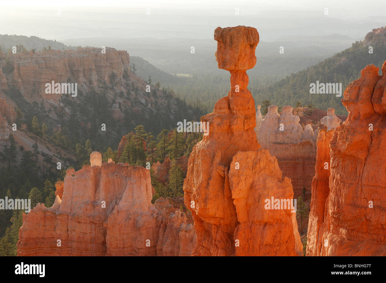 USA Utah Thor Hammer Sunset Point Bryce Canyon National Park Landschaft Landschaft Felsen Rock schroffen Erosion Pinnacles erodiert Stockfoto