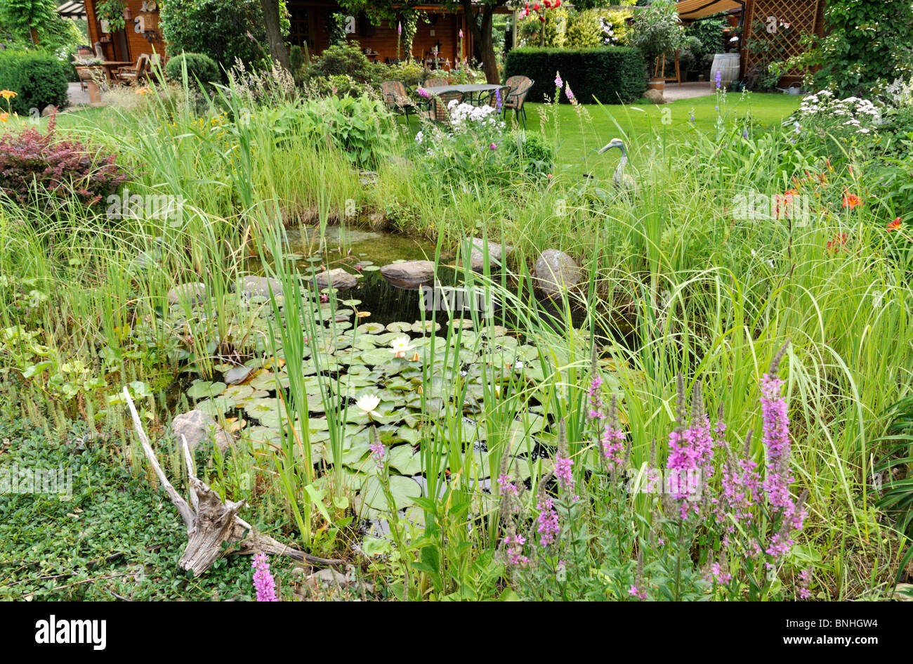 Garten Teich mit Seerosen (nymphaea). Design: Marianne und Detlef lüdke Stockfoto