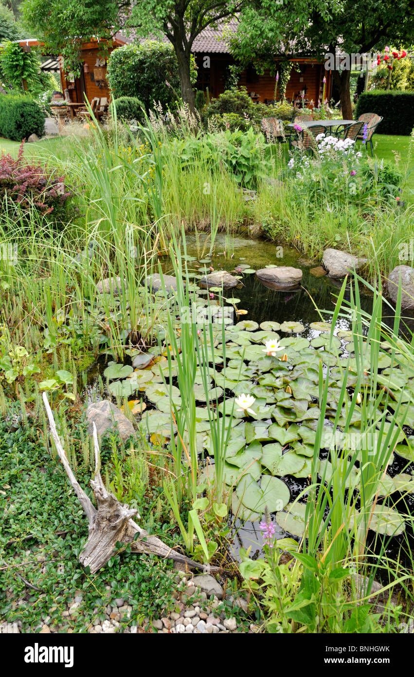 Garten Teich mit Seerosen (nymphaea). Design: Marianne und Detlef lüdke Stockfoto