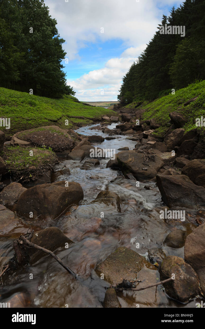 West End Ruinen, Thruscross Reservoir. Stockfoto