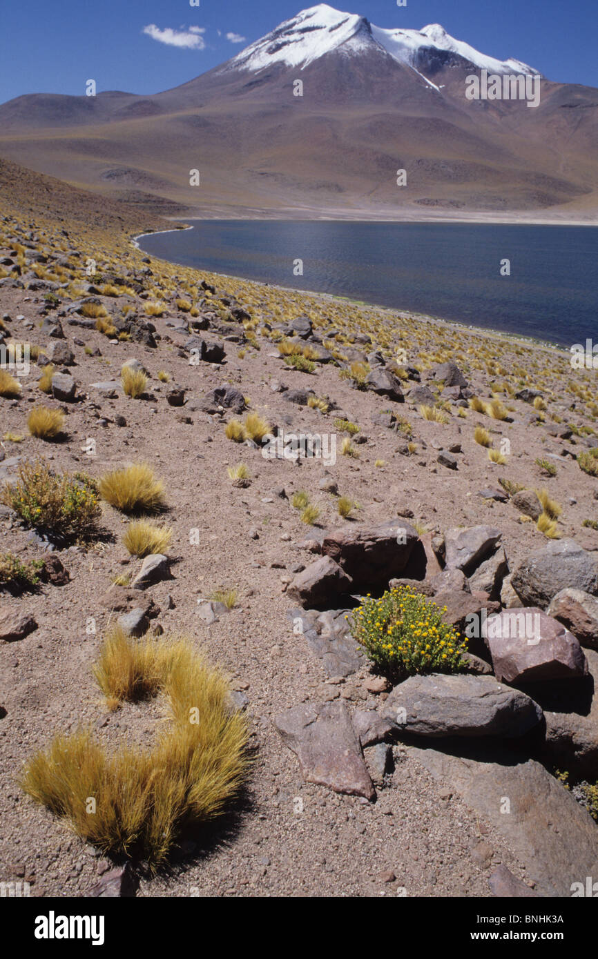 Bolivien Laguna Miniques Cerro Miniques Anden Berge Altiplano Hochplateau Vulkan See Wüstenlandschaft Landschaft Natur Stockfoto