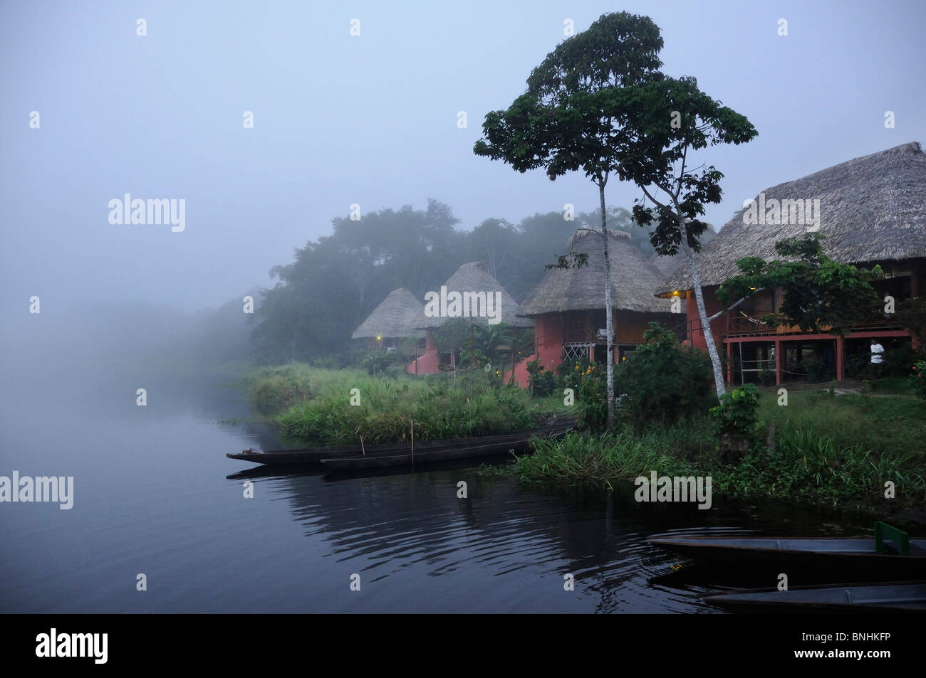 Ecuador Napo Wildlife Center Yasuni Nationalpark Quechua Gemeinschaft Amazonia Morgen Nebel nebligen Regenwald tropische Tropen Stockfoto