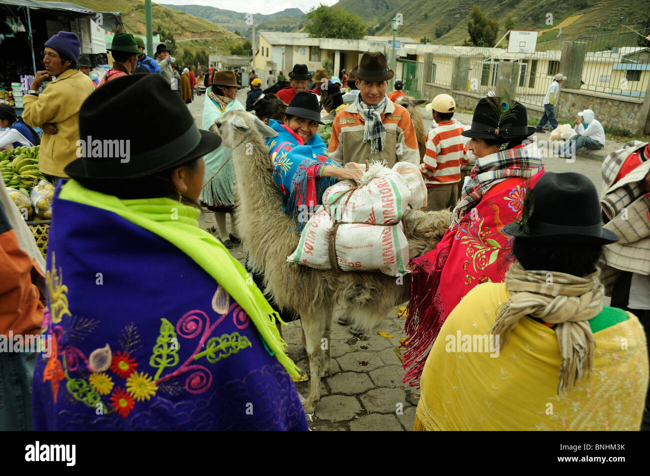 Ecuador Indigene Indio Indios eingeborenen Indianer einheimischen Bevölkerung Zumbahua Dorf Bergdorf Markt Tag Anden Stockfoto