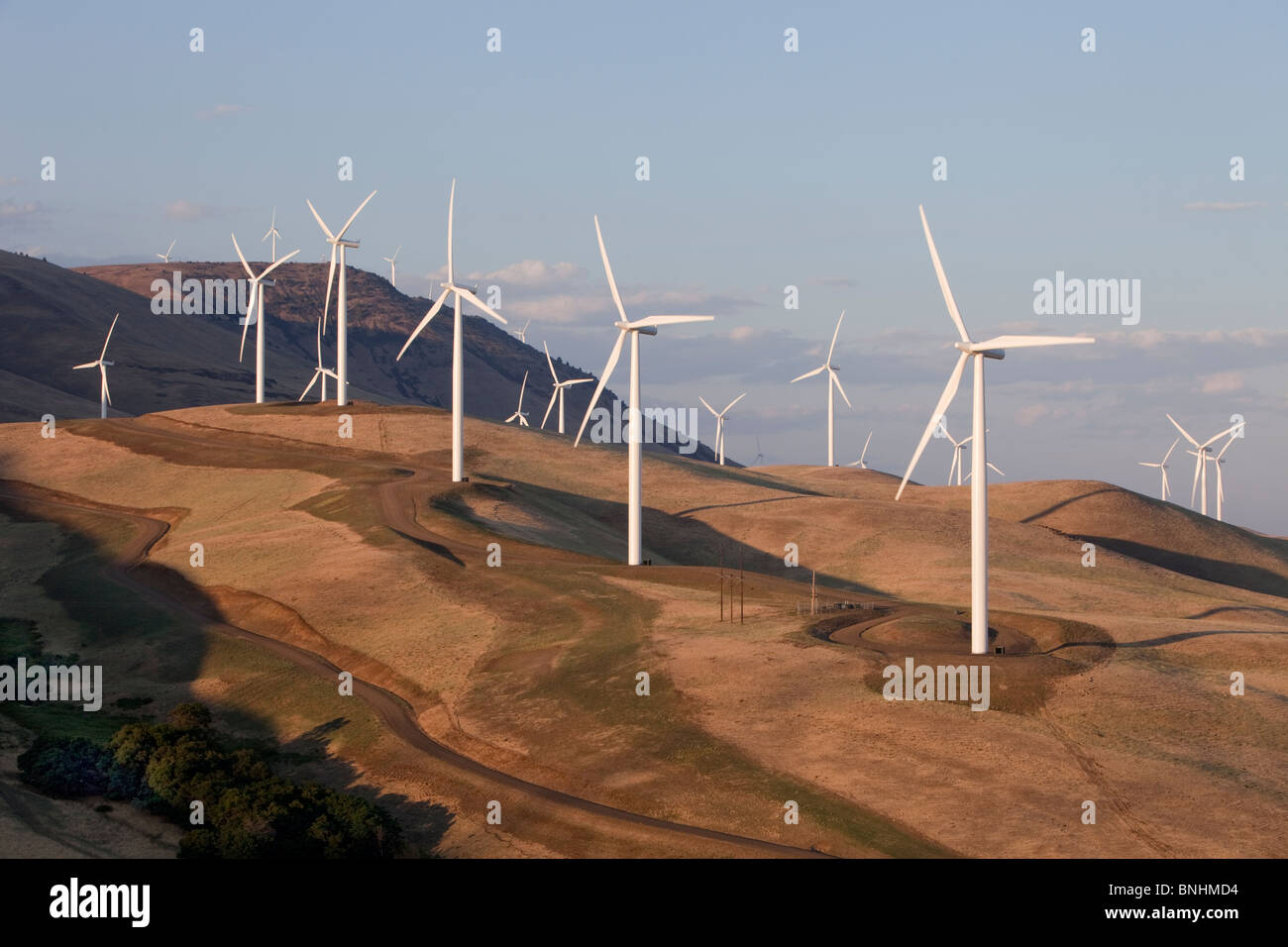 Windpark, einheimische Flora, mit Blick auf die Columbia River Gorge. Stockfoto