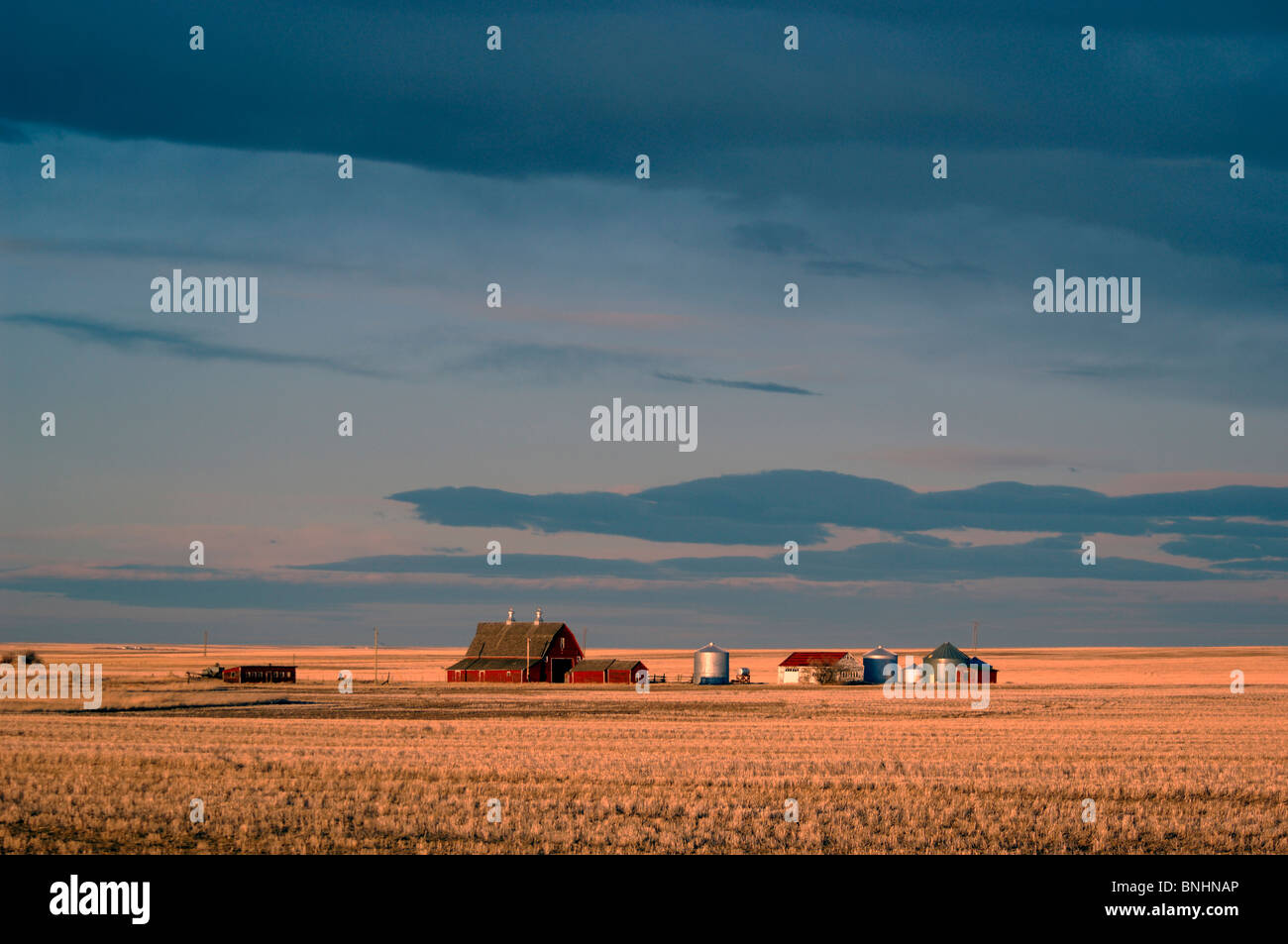 USA-Bauernhaus Felder letzten Sonnenlicht in der Nähe von Conrad Montana Feld schlicht Ebenen Hof Landwirtschaft Landwirtschaft Landschaft Landschaft am Abend Stockfoto