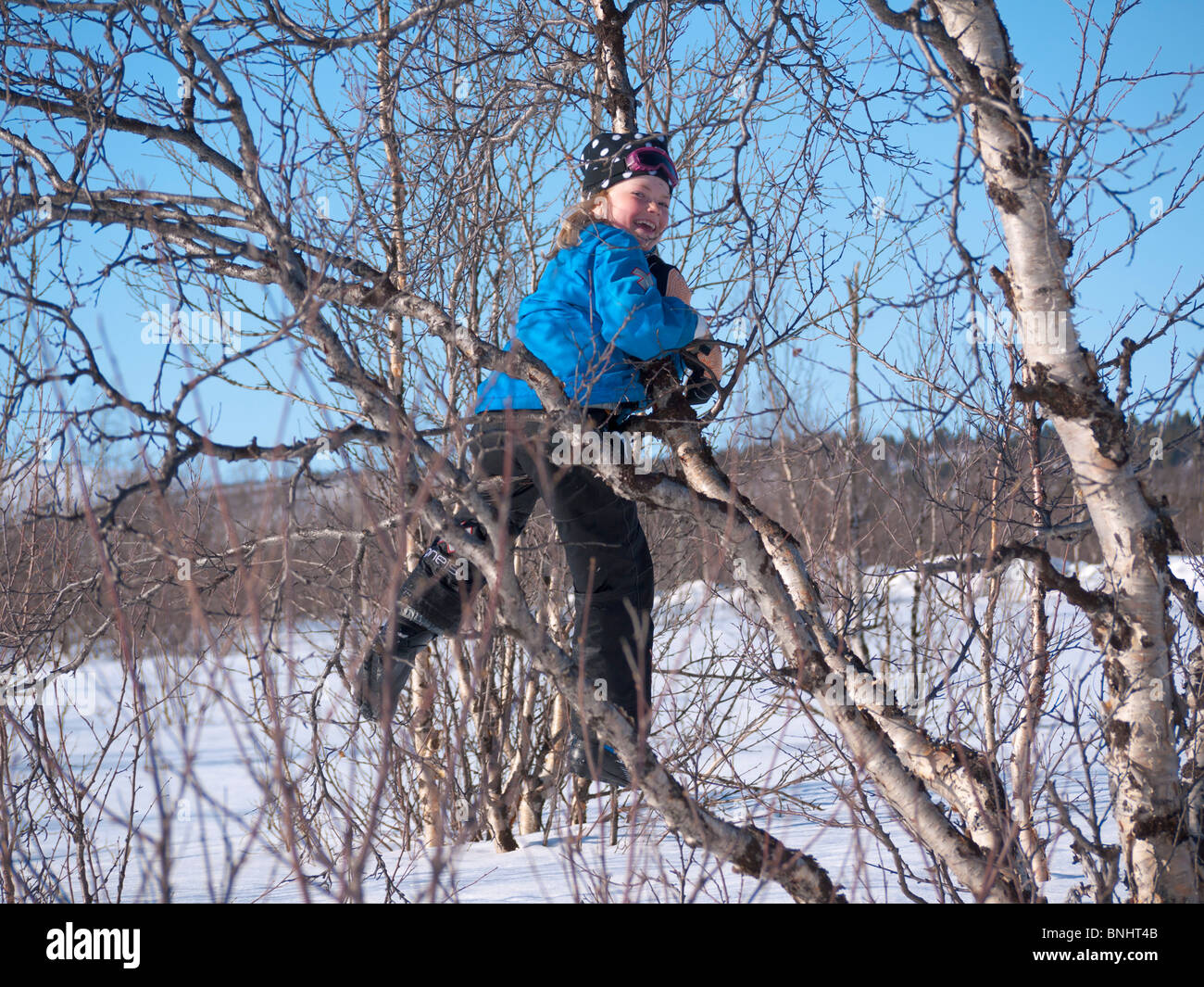 Ein Acht Jahres altes Mädchen klettert eine Birke. Stockfoto