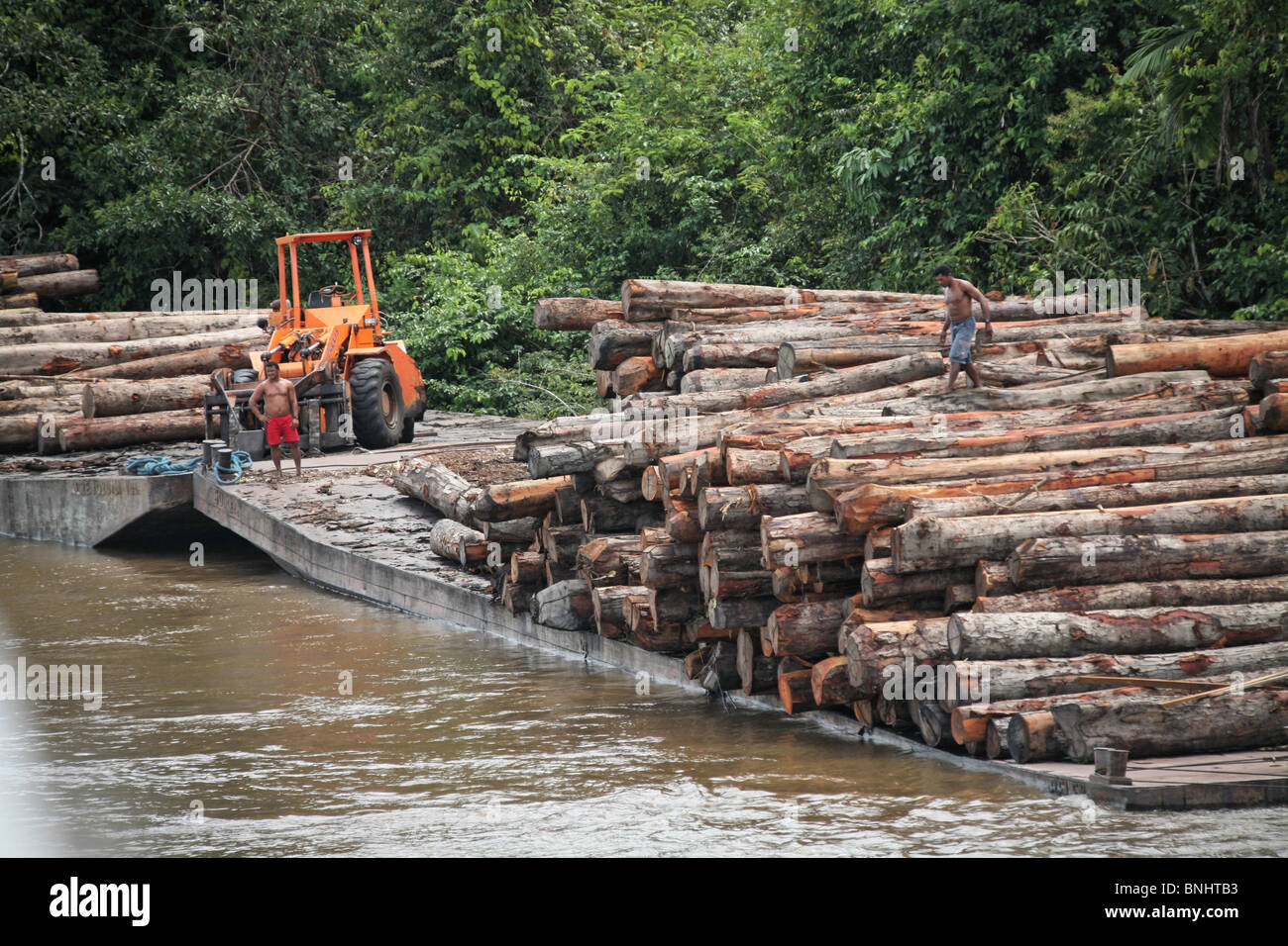 Breves Kanäle Brasilien Amazonas Regenwald Amazonas Dschungel Wald Fluss  Tropen tropischen Holz Holz Holzverarbeitung Stockfotografie - Alamy