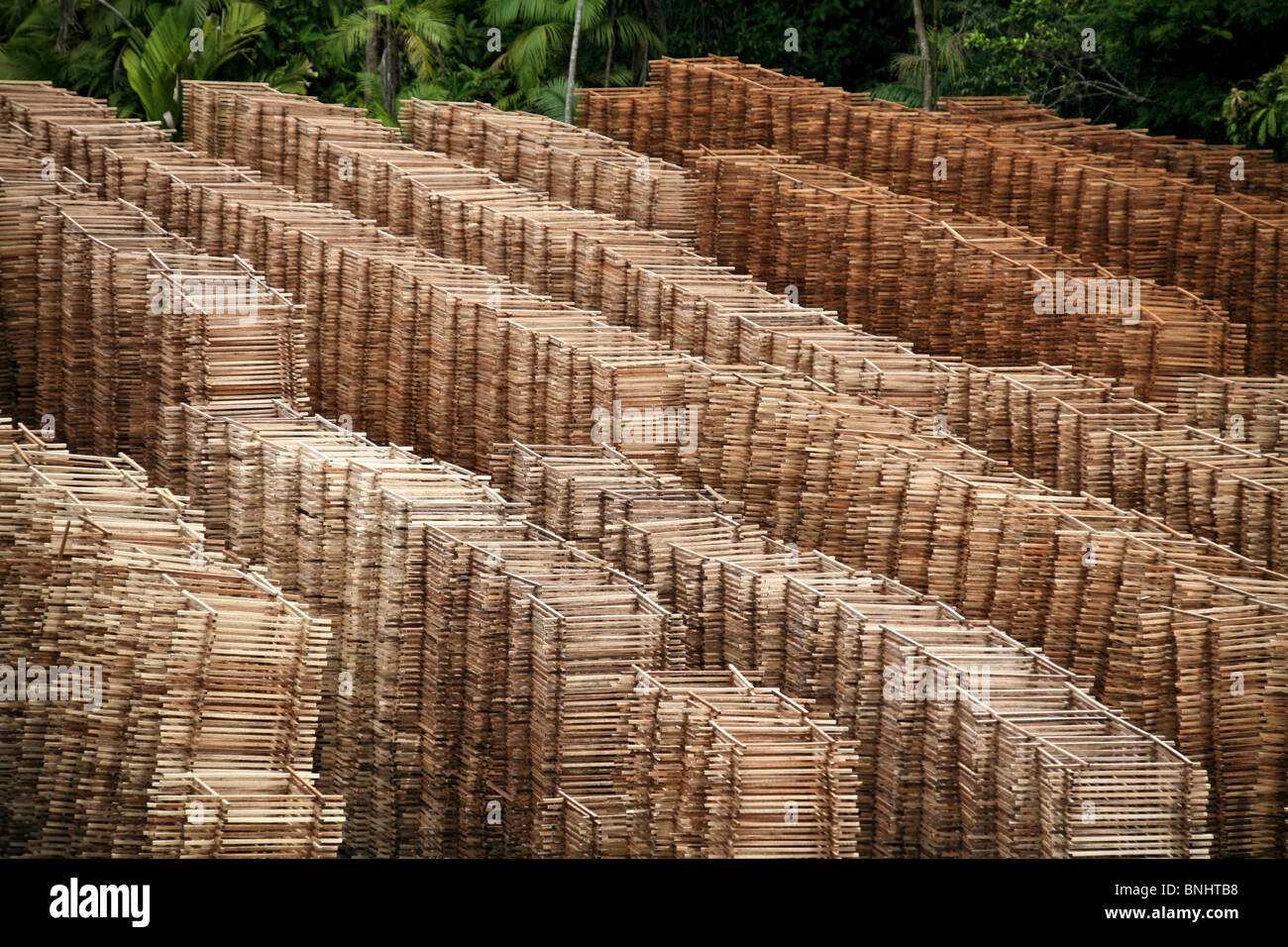 Breves Kanäle Brasilien Amazonas Regenwald Amazonas Dschungel Wald Fluss  Tropen tropischen Holz Holz Holzverarbeitung Stockfotografie - Alamy