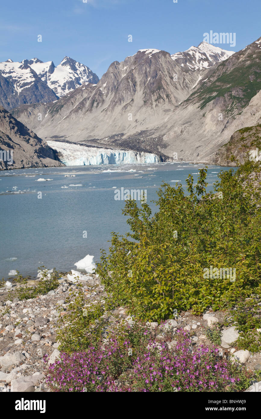 USA; Alaska; Glacier Bay Nationalpark; McBride Gletscher Stockfoto