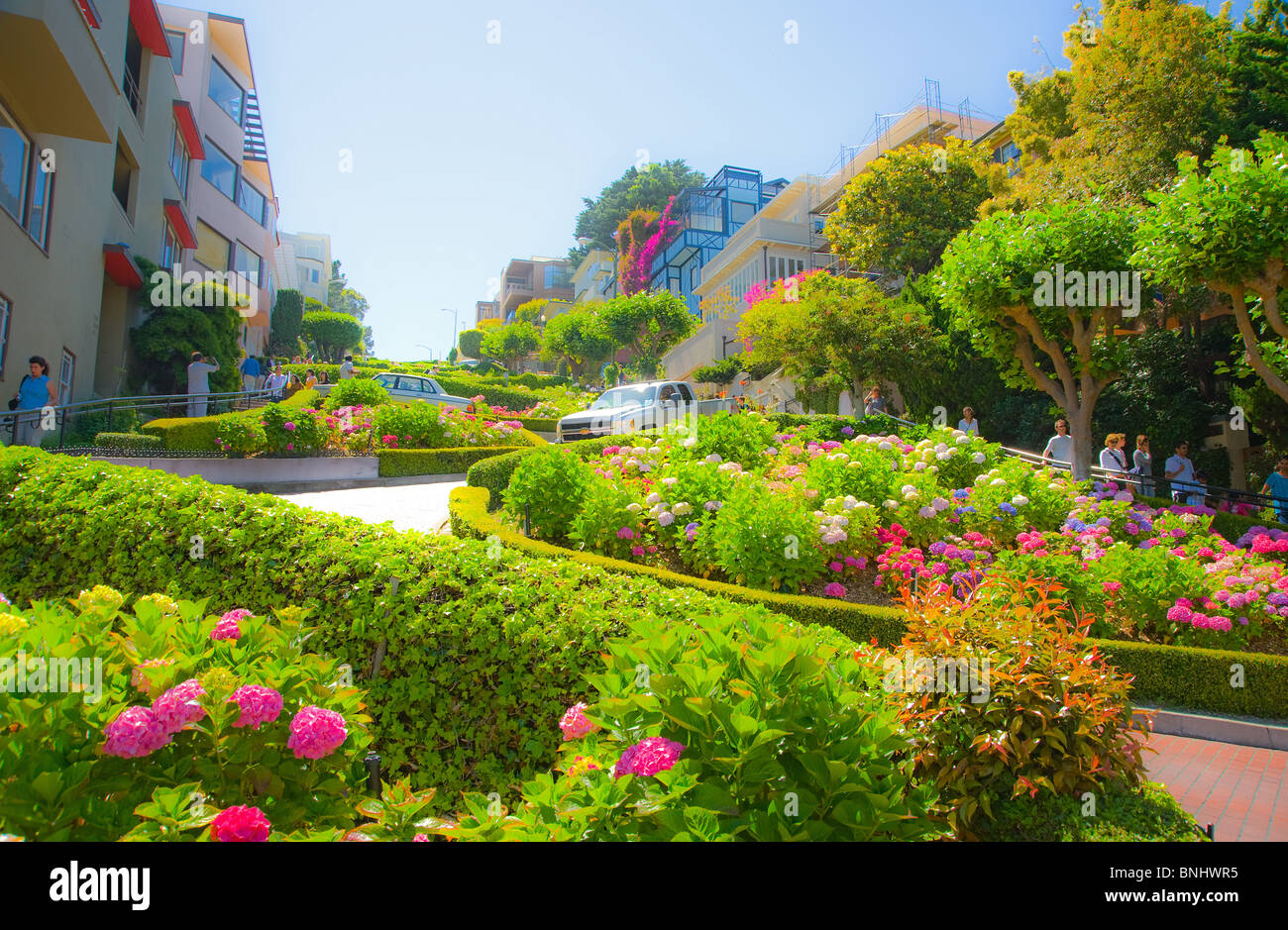 Blick auf kurvenreichsten Lombard Street San Francisco Stockfoto