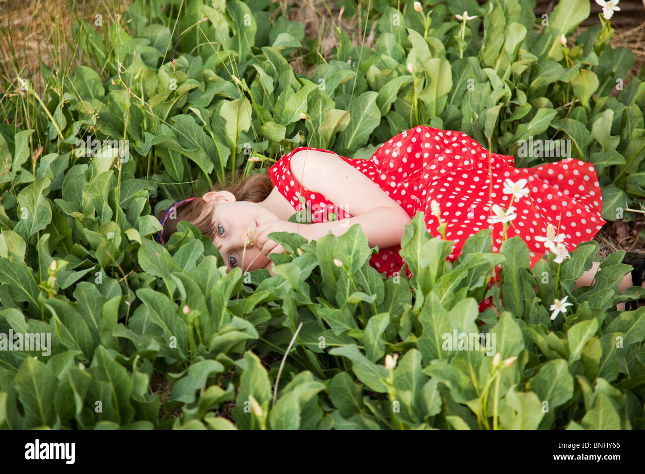 Mädchen in rot gepunkteten Kleid Stockfoto