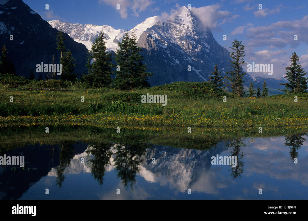 Europa Schweiz Kanton von Bern Berner Oberland Eiger Grosse Scheidegg Reflexion See See Berg Berge Alpen Stockfoto