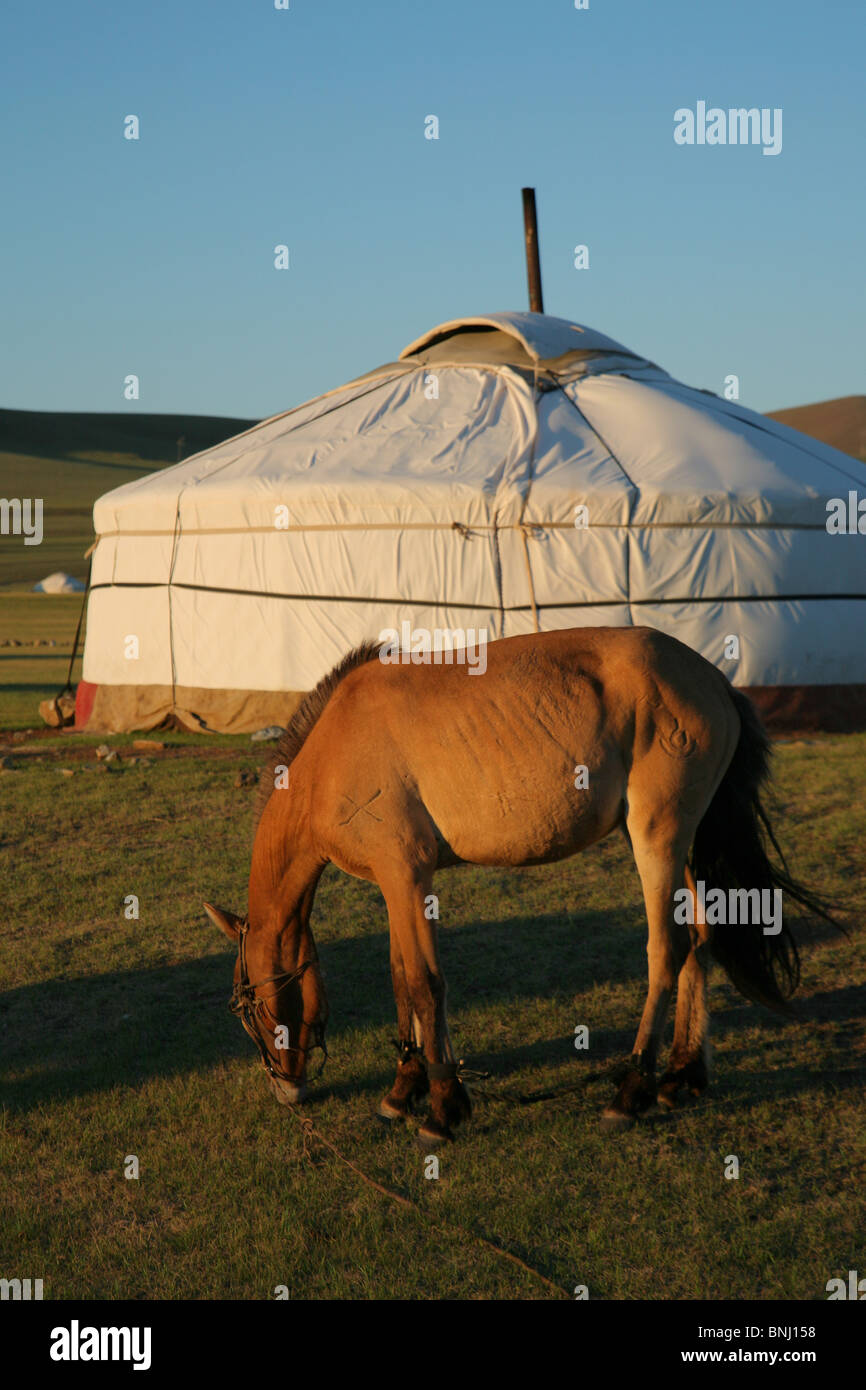 Pferd und Ger Tärelsch Mongolei Zentralasien Stockfoto