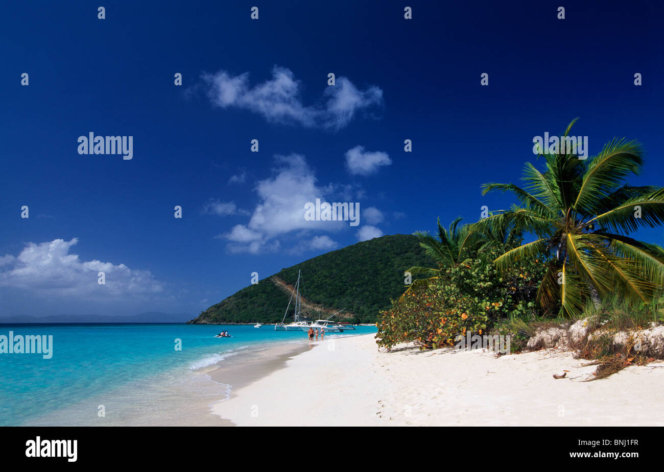 Virgin Islands British Virgin Islands BVI Tag Insel im karibischen Meer Ozean Inseln Jost van Dyke Palm Beach Strand Meer Ufer Stockfoto