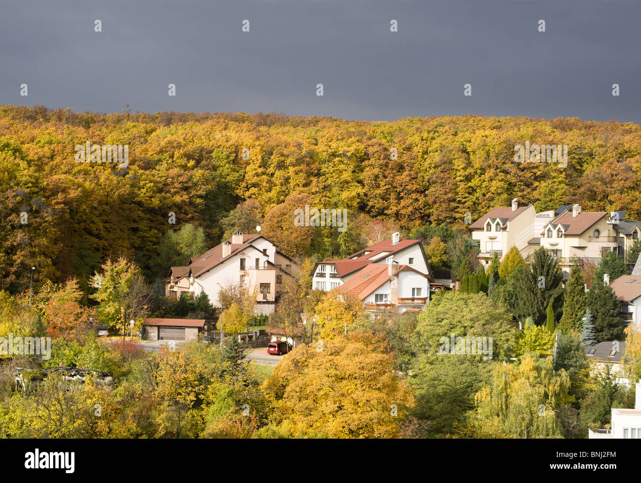 Häuser von herbstlichen Wald Stockfoto