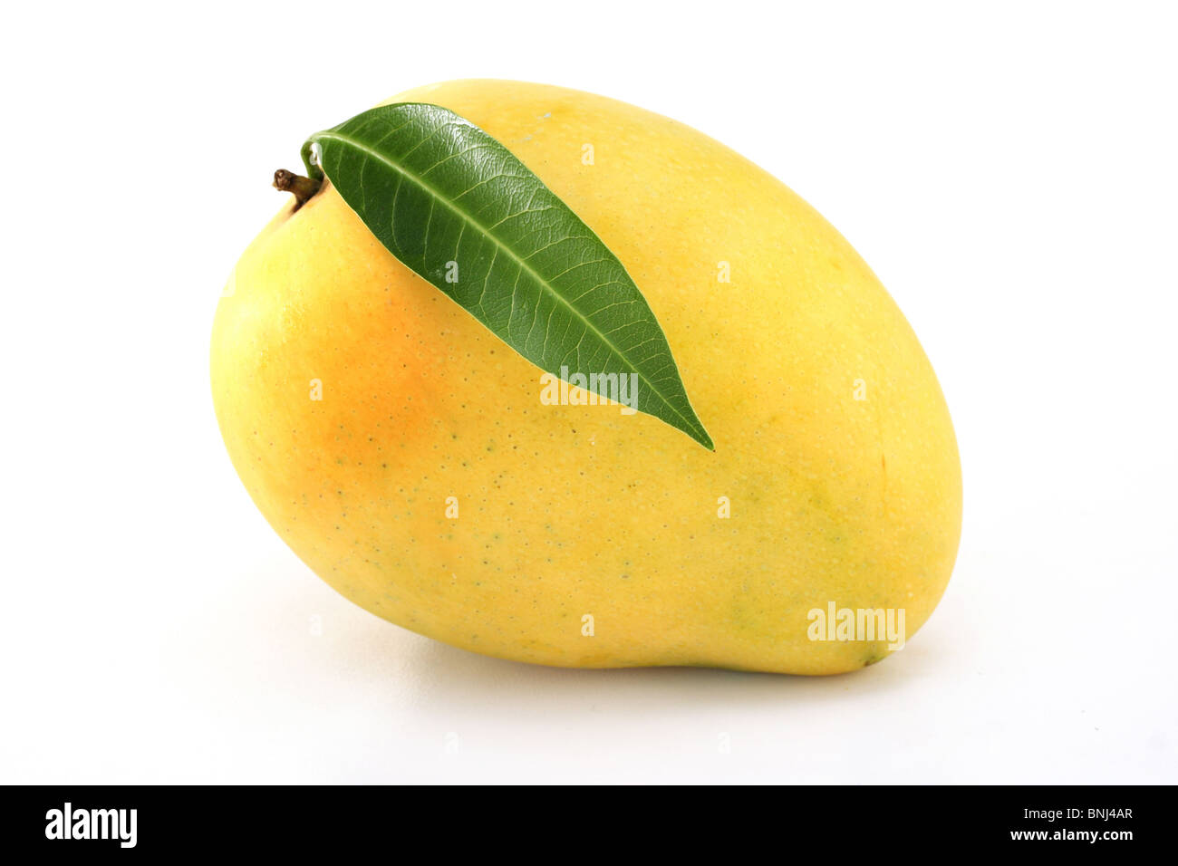 Frische reife Mango auf weiß Stockfoto