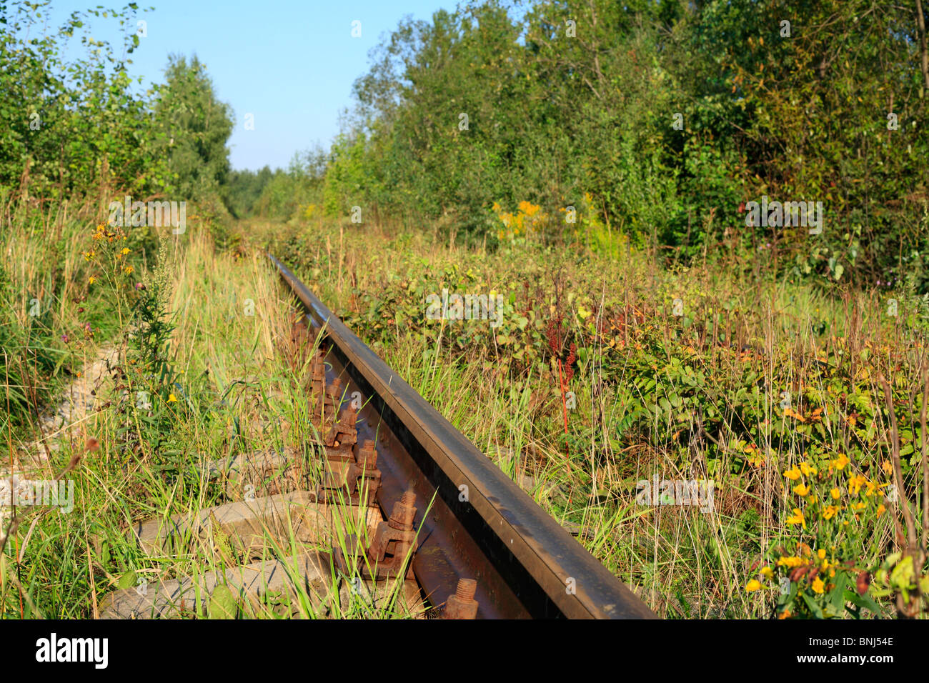 Eastern Europe Europa Europäische Reisen Russland Russische Moskau Region tagsüber Sommer Grasgrün Transport Transport Schiene Stockfoto
