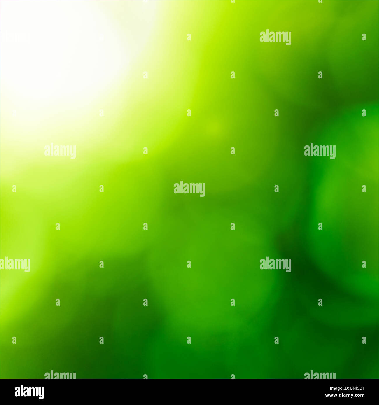 Abstrakte Natur Hintergrund (grüne Bokeh). Stockfoto