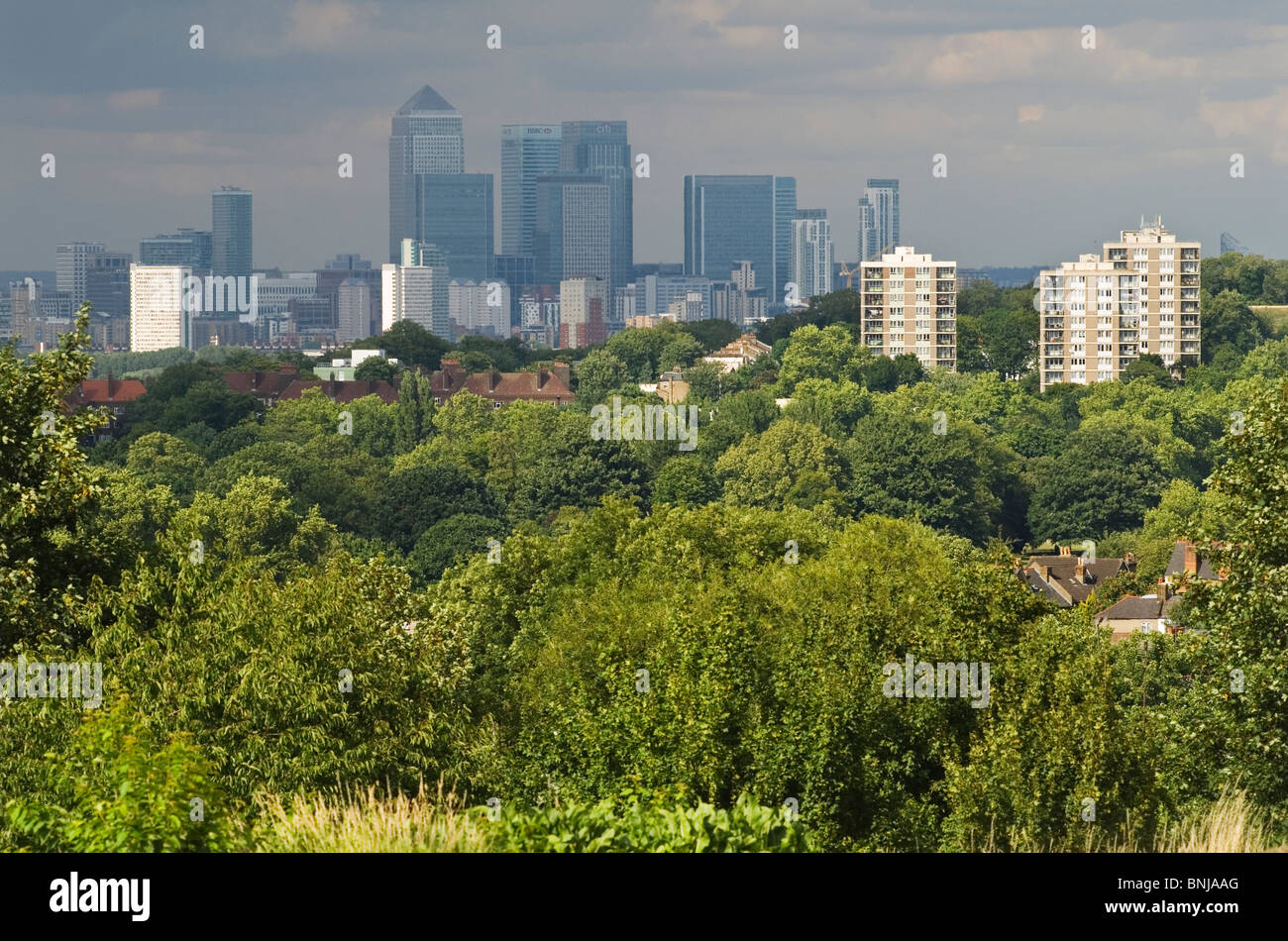 Grünes London, Blick auf den Canada Tower an der Canary Wharf in der Ferne, Skyline der City of London aus dem Südosten des Vororts London, Häuser, Flachbaumblöcke im Vordergrund. HOMER SYKES AUS DEN 2010 2010ER JAHREN Stockfoto