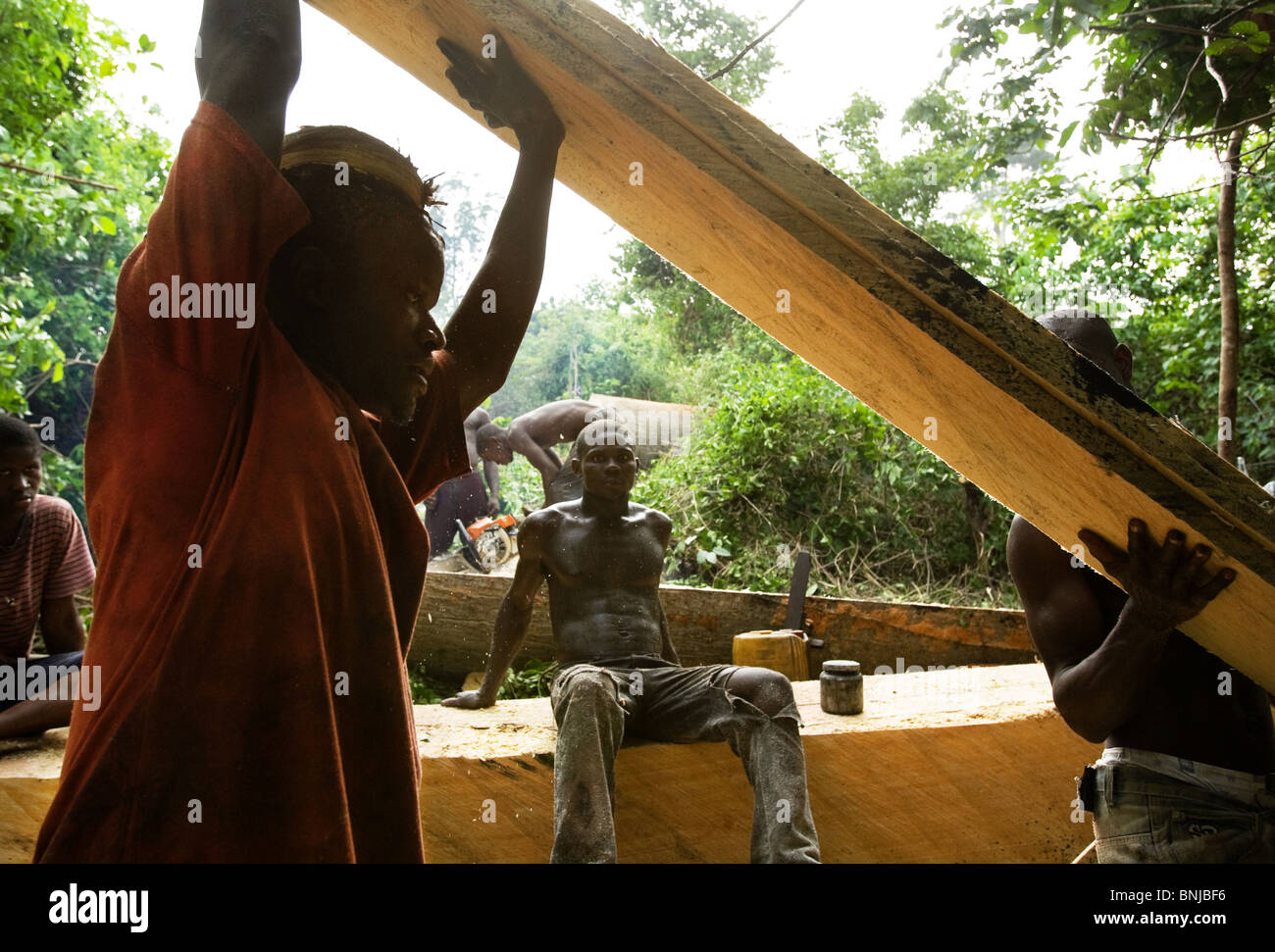 Männer benutzen eine kleine Kettensäge Bretter aus dem Stamm von einem großen Ceiba Baum schneiden nach dem Abholzen auf landwirtschaftlichen Nutzflächen, Ghana Stockfoto