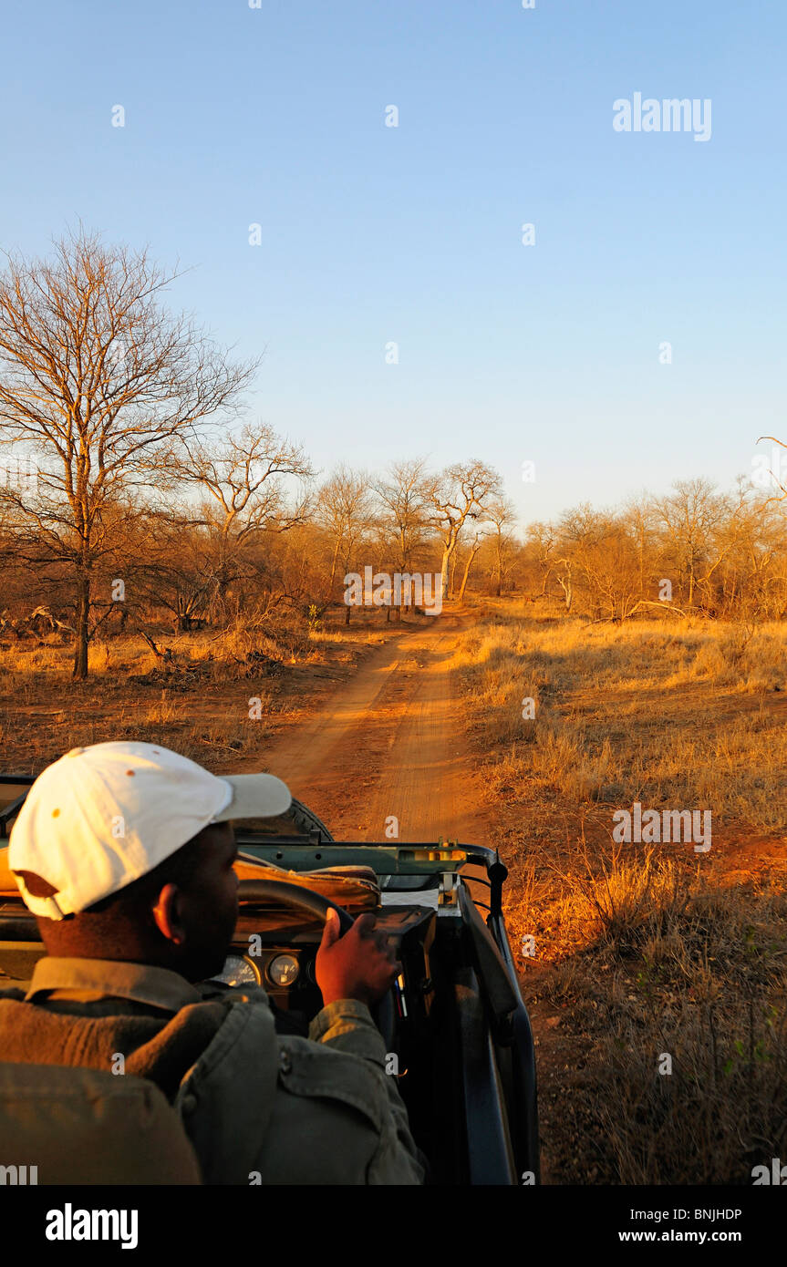 Ranger Spiel fahren Garonga Safari Camp mehr Jabulani Conservancy Limpopo Südafrika Feldweg Natur Mann Fahrer fahren Stockfoto