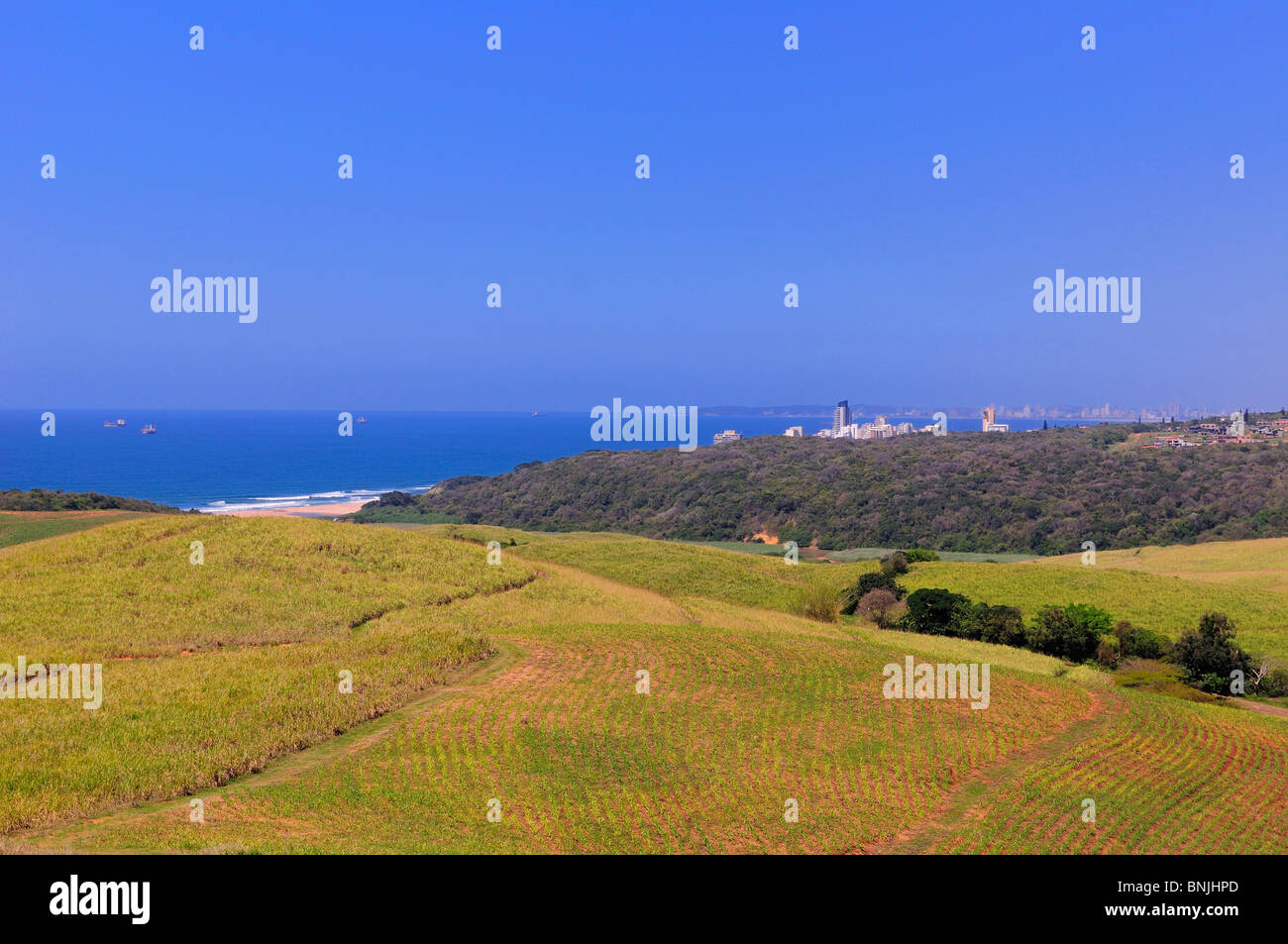 Blick auf Durban Stadt Felder in der Nähe von Umhlanga Kwazulu Natal in Südafrika Stadt Meer Ozeanküste Landschaft Landschaft Stockfoto
