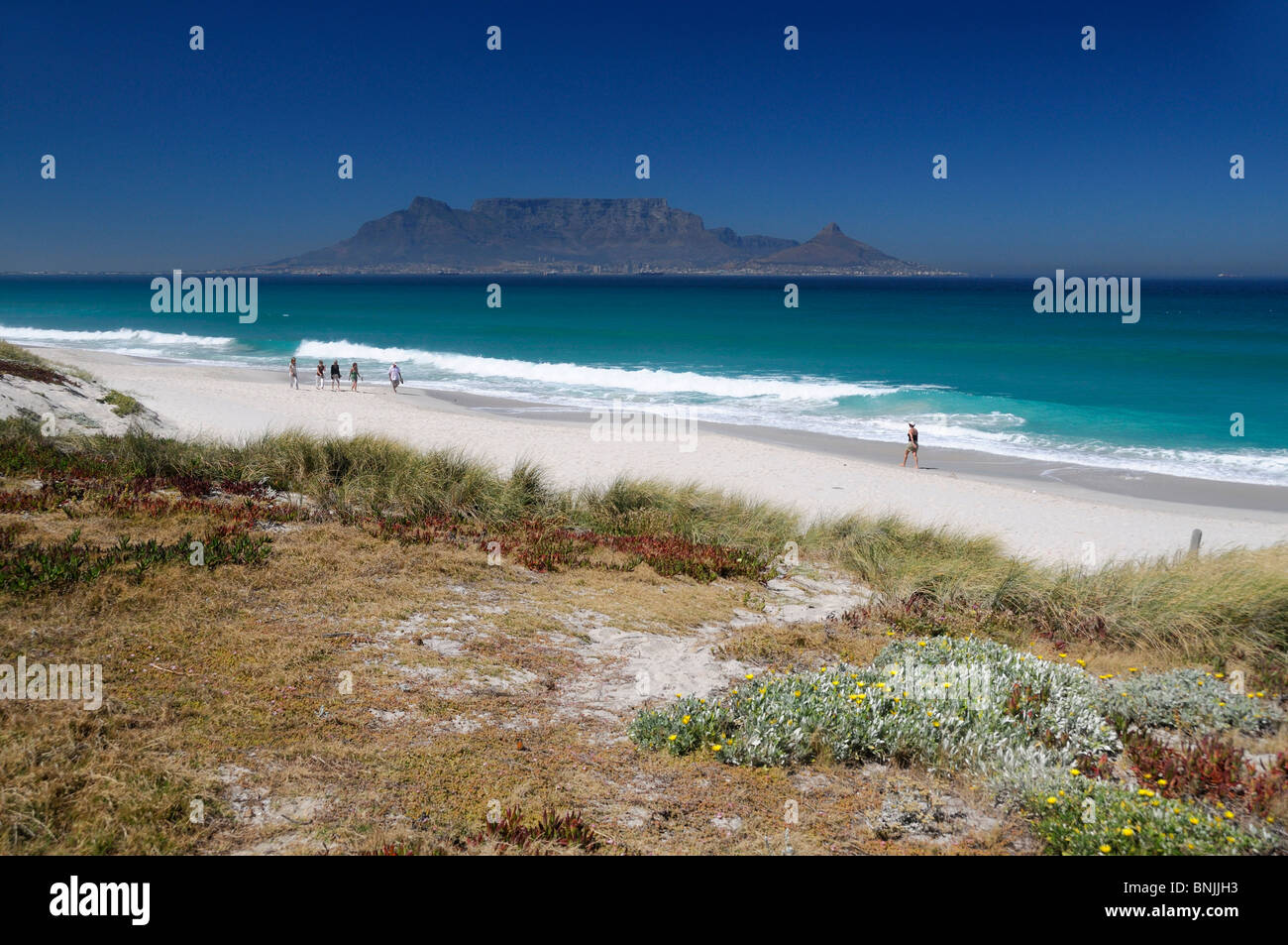 Bloubergstrand Conservation Area Bay Table Mountain Bloubergstrand Western Cape Südafrika weißen sandigen Strand Landschaft Stockfoto