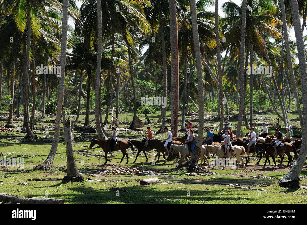 Reiter-Laguna Limon El Cedro Dominikanische Republik-Palmen Reisen Tourismus Urlaub Caribbean Stockfoto