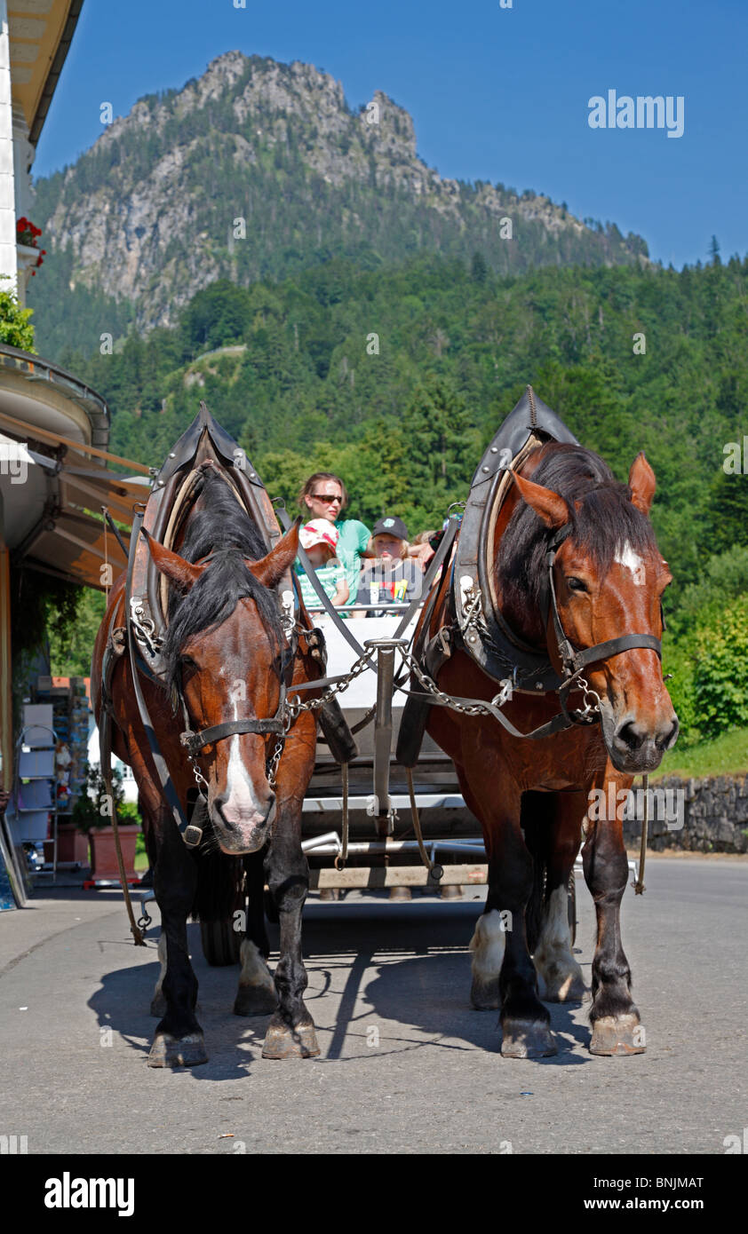 Pferdekutsche auf der letzten hügelige Strecke zum Schloss Hohenschwangau bei Füssen in Bayern, Deutschland. Stockfoto