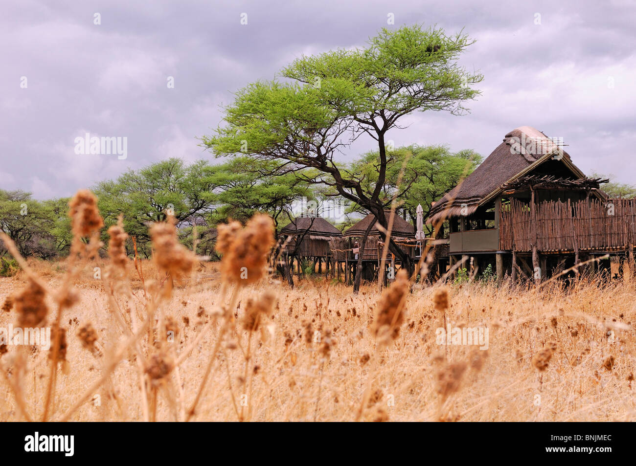 Onguma Tree Top Tented Camp Onguma Safari Camp Etosha Nationalpark Kunene Region Namibia Afrika Reisen Natur Stockfoto
