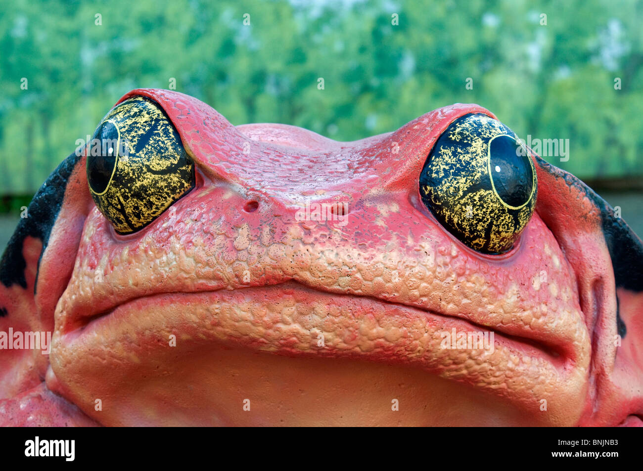 Frosch Statue Oakland USA Nordamerika Kalifornien 2009 Oakland Zoo Statue Skulptur rot witzig Humor hässlich Stockfoto