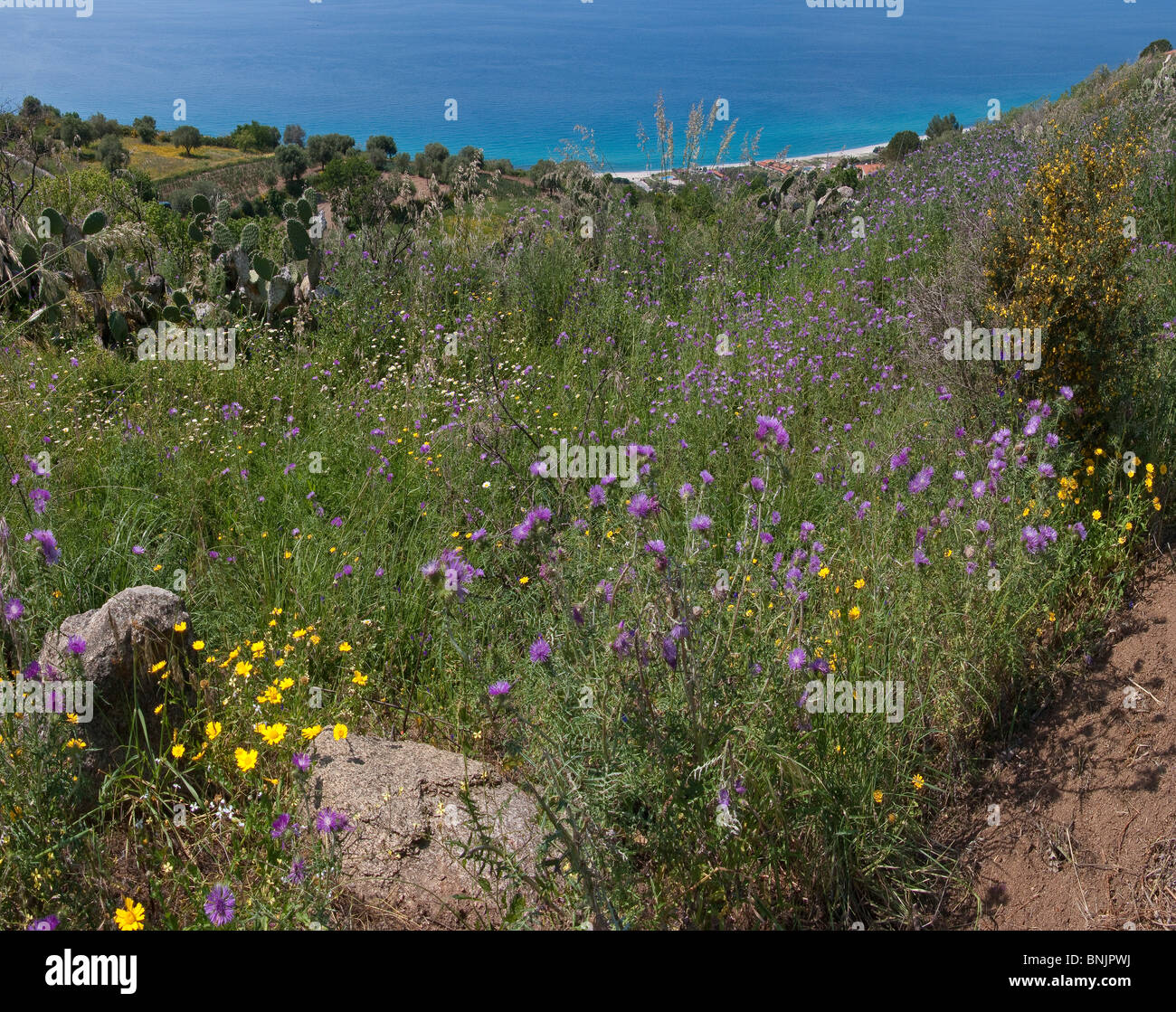 Zambrone Kalabrien Mittelmeer Italien Vegetation Meer Küste der