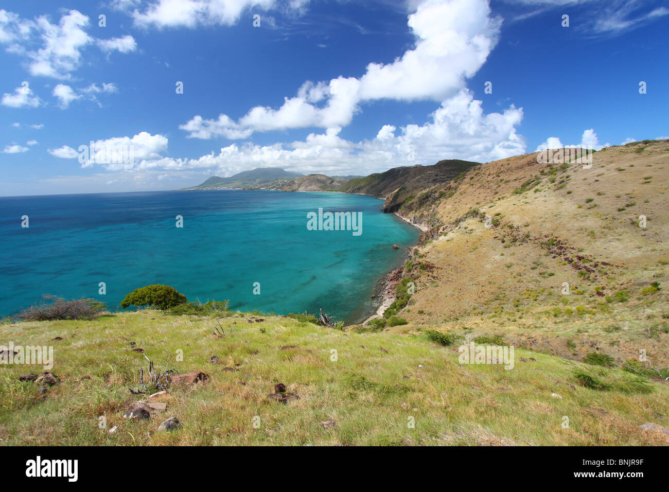 Küste von St. Kitts Stockfoto