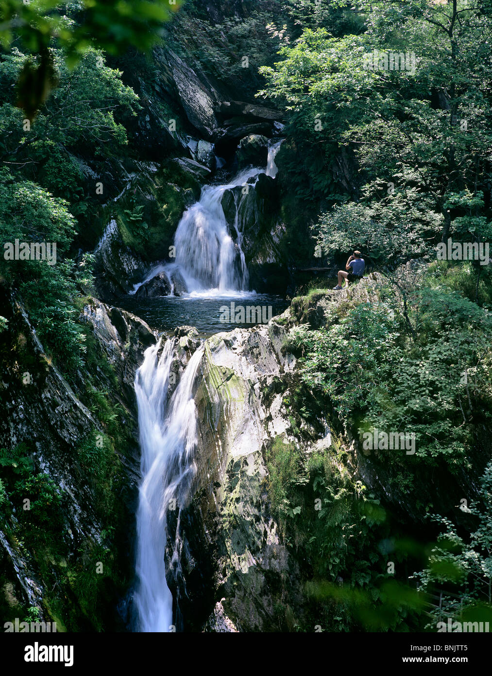 Mann, sitzend bewundernden Barke Wasserfall, Teufelsbrücke, in der Nähe von Aberystwyth, Dyfed, Mid-Wales Stockfoto
