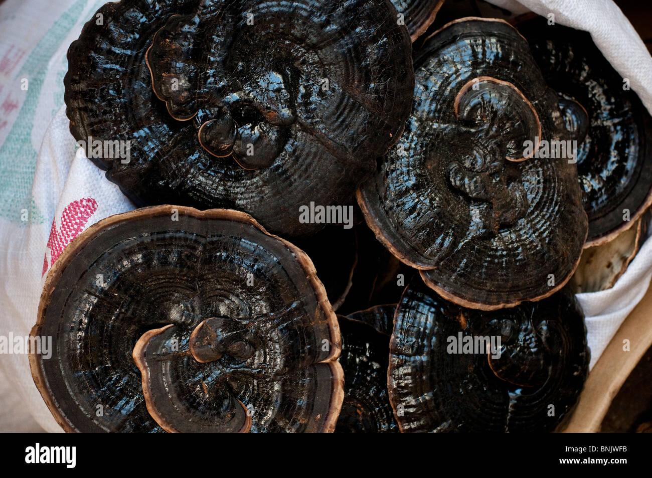 Hongkong, jeden Tag, was LKW von und nach China entladen und beladen mit traditionellen waren wie getrockneter Fisch Stockfoto