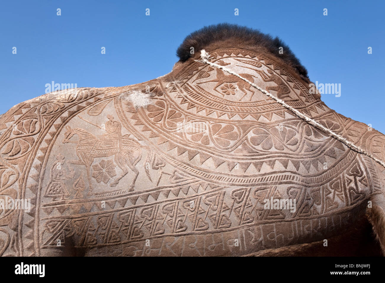 Kamelhaut Dekoration. Jaisalmer. Rajasthan. Indien Stockfoto