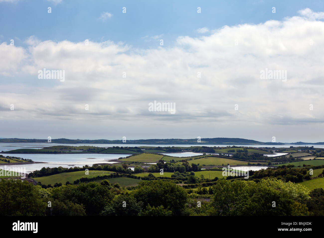 Strangford Lough in der Nähe der Stadt Killinchy zwischen Comber und Killyleagh, County Down, Nordirland, Vereinigtes Königreich Stockfoto