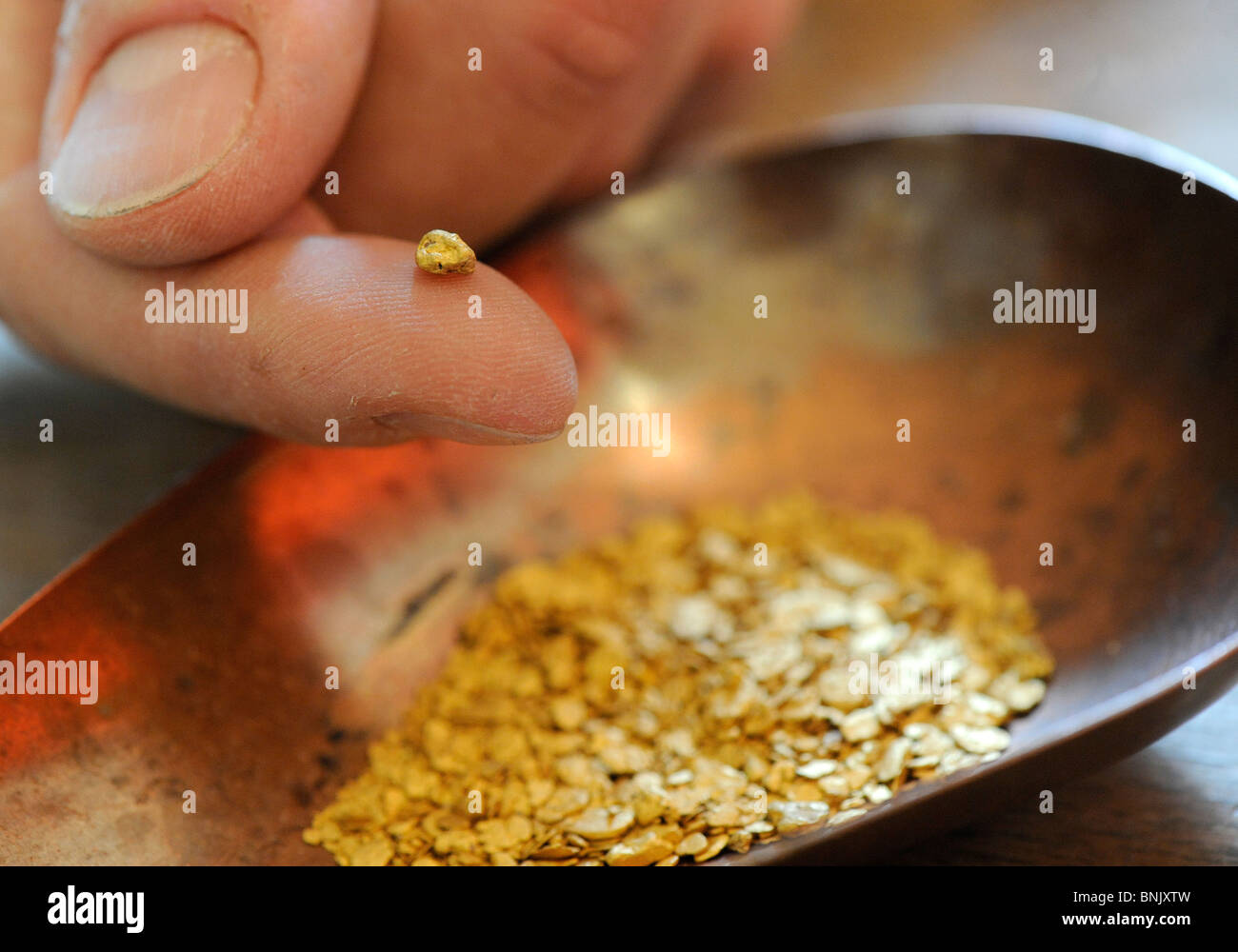 Gold-Nugget in einer Pfanne auf einem Goldschmied in Hamburg, Deutschland am 4. Juni 2009. Stockfoto