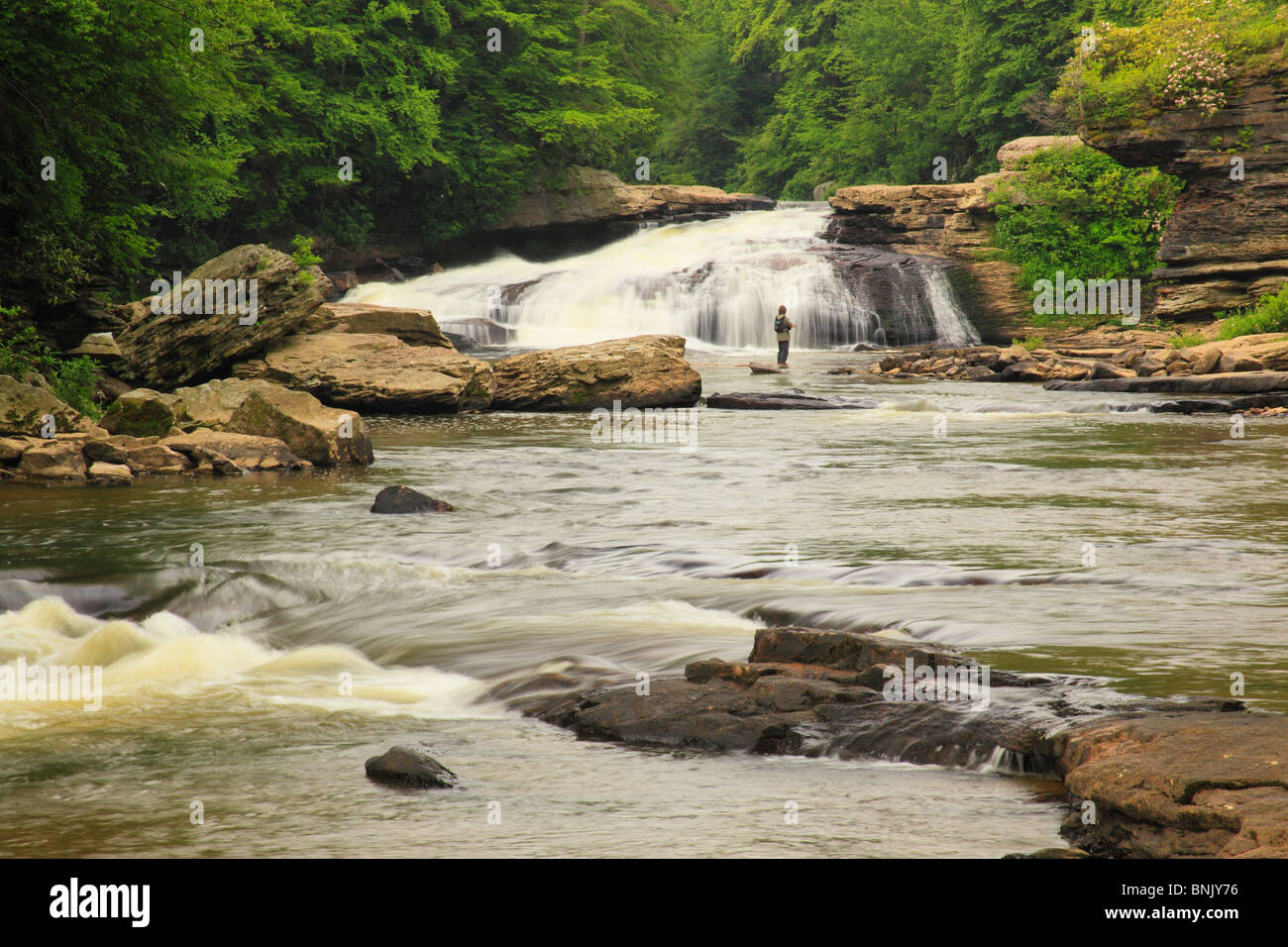 Angler am oberen Swallow Falls, Swallow Falls State Park, Oakland